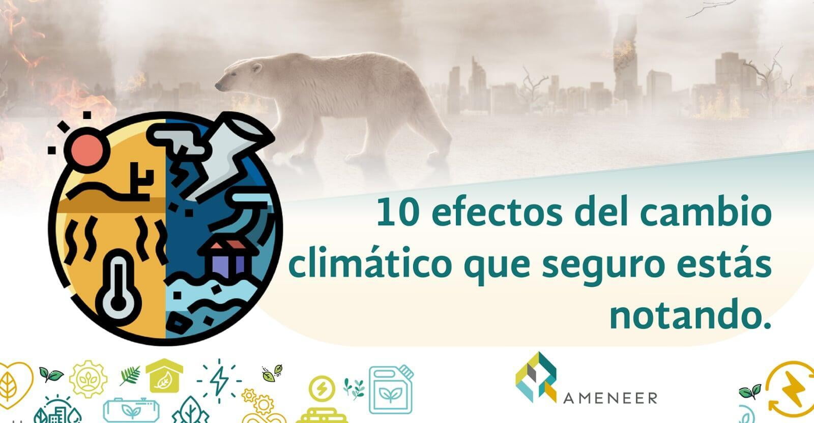 10 efectos del cambio climático que seguro estás notando